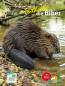 Preview: Entdecke die Biber